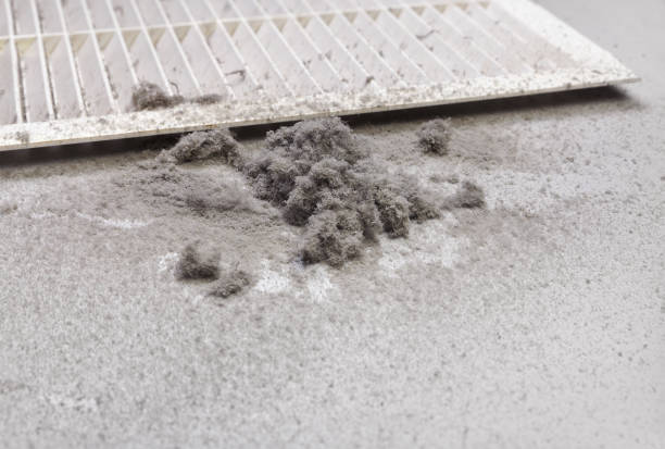 Best Air Vent Cleaning Services  in North River Shores, FL